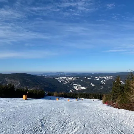 Daire Certovka, Harrachov